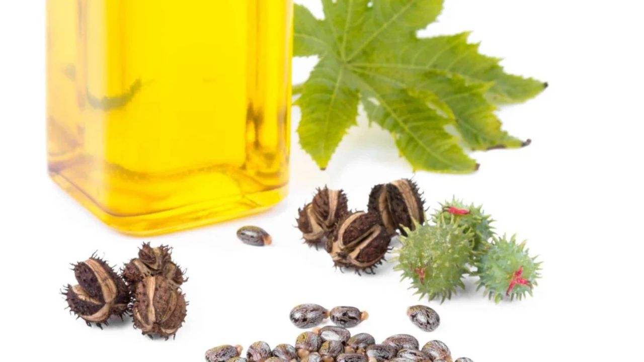 Castor Oil Beauty Tips